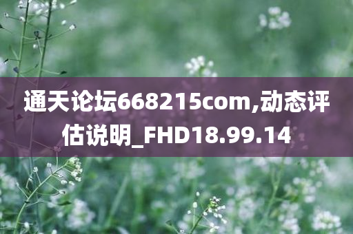 通天论坛668215com,动态评估说明_FHD18.99.14