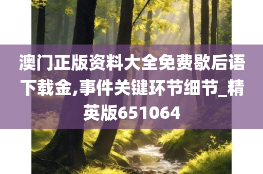 澳门正版资料大全免费歇后语下载金,事件关键环节细节_精英版651064