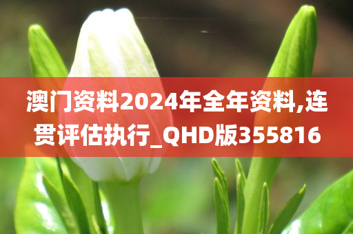 澳门资料2024年全年资料,连贯评估执行_QHD版355816