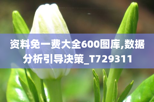 资料免一费大全600图库,数据分析引导决策_T729311