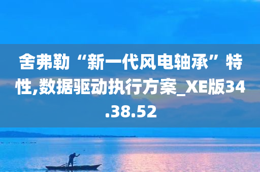 舍弗勒“新一代风电轴承”特性,数据驱动执行方案_XE版34.38.52