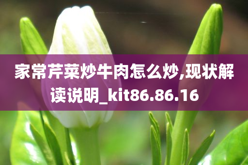 家常芹菜炒牛肉怎么炒,现状解读说明_kit86.86.16