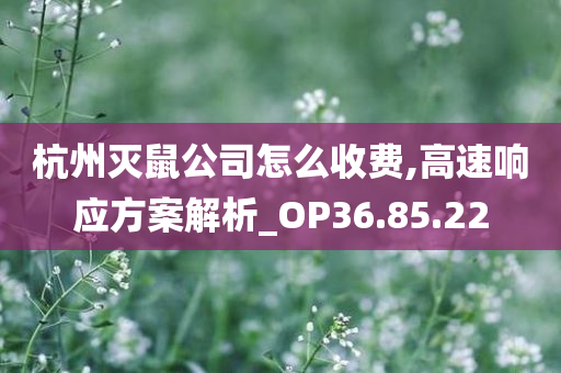 杭州灭鼠公司怎么收费,高速响应方案解析_OP36.85.22