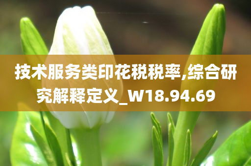 技术服务类印花税税率,综合研究解释定义_W18.94.69