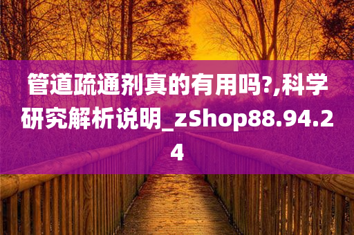 管道疏通剂真的有用吗?,科学研究解析说明_zShop88.94.24