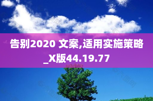 告别2020 文案,适用实施策略_X版44.19.77