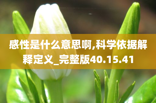 感性是什么意思啊,科学依据解释定义_完整版40.15.41