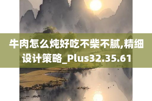 牛肉怎么炖好吃不柴不腻,精细设计策略_Plus32.35.61