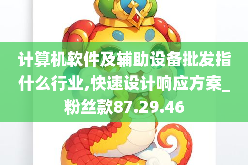 计算机软件及辅助设备批发指什么行业,快速设计响应方案_粉丝款87.29.46