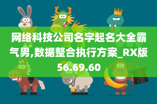 网络科技公司名字起名大全霸气男,数据整合执行方案_RX版56.69.60