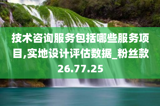 技术咨询服务包括哪些服务项目,实地设计评估数据_粉丝款26.77.25