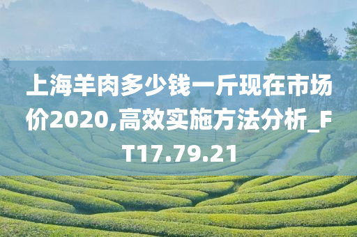 上海羊肉多少钱一斤现在市场价2020,高效实施方法分析_FT17.79.21