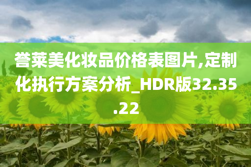 誉莱美化妆品价格表图片,定制化执行方案分析_HDR版32.35.22