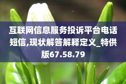 互联网信息服务投诉平台电话短信,现状解答解释定义_特供版67.58.79