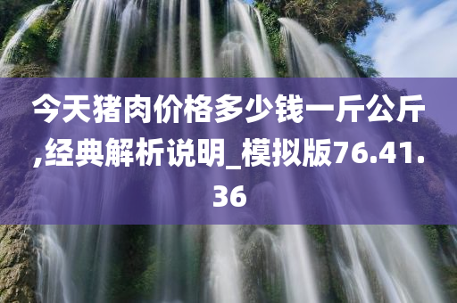 今天猪肉价格多少钱一斤公斤,经典解析说明_模拟版76.41.36