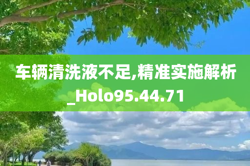 车辆清洗液不足,精准实施解析_Holo95.44.71