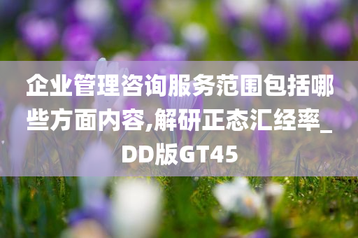 企业管理咨询服务范围包括哪些方面内容,解研正态汇经率_DD版GT45