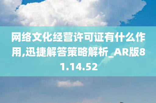 网络文化经营许可证有什么作用,迅捷解答策略解析_AR版81.14.52