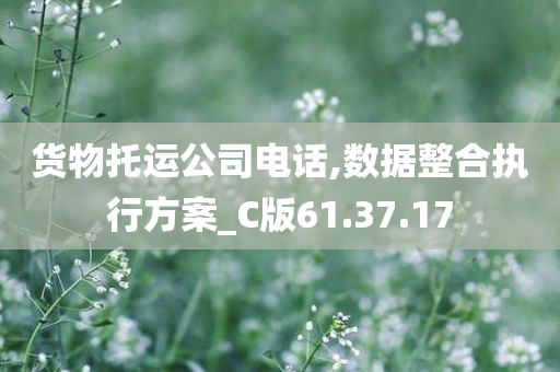 货物托运公司电话,数据整合执行方案_C版61.37.17