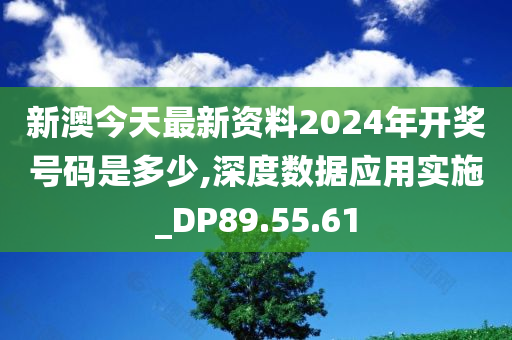 新澳今天最新资料2024年开奖号码是多少,深度数据应用实施_DP89.55.61