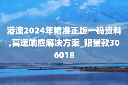 港澳2024年精准正版一码资料,高速响应解决方案_限量款306018