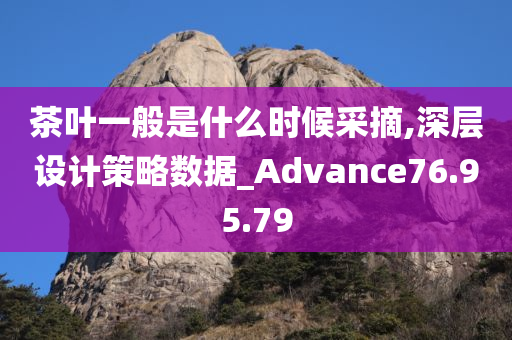 茶叶一般是什么时候采摘,深层设计策略数据_Advance76.95.79