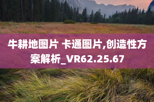 VR解析