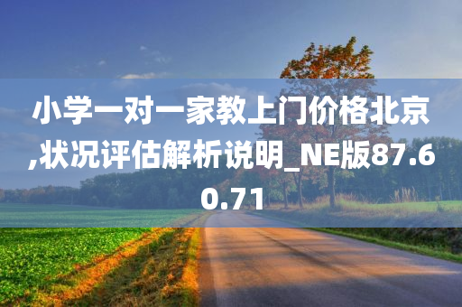 小学一对一家教上门价格北京,状况评估解析说明_NE版87.60.71