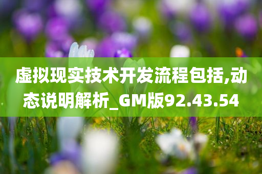 虚拟现实技术开发流程包括,动态说明解析_GM版92.43.54