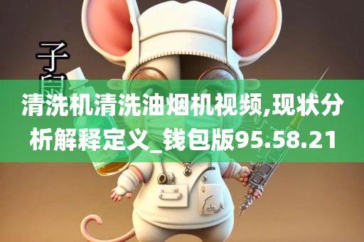 清洗机清洗油烟机视频,现状分析解释定义_钱包版95.58.21