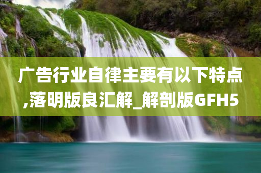 广告行业自律主要有以下特点,落明版良汇解_解剖版GFH5