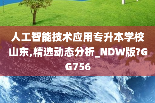 人工智能技术应用专升本学校山东,精选动态分析_NDW版?GG756