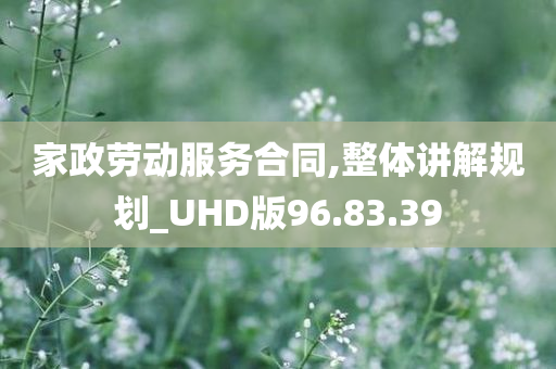 家政劳动服务合同,整体讲解规划_UHD版96.83.39