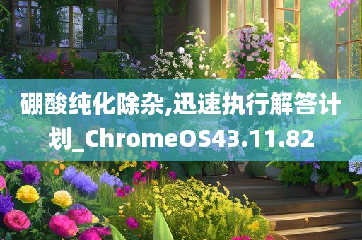 硼酸纯化除杂,迅速执行解答计划_ChromeOS43.11.82