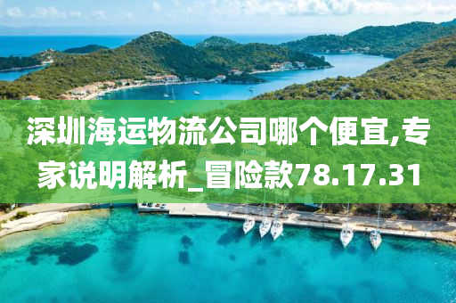 深圳海运物流公司哪个便宜,专家说明解析_冒险款78.17.31