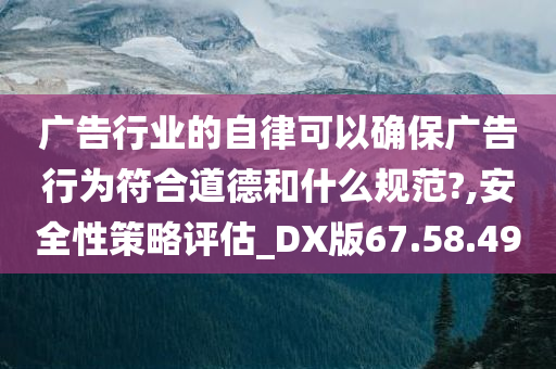 广告行业的自律可以确保广告行为符合道德和什么规范?,安全性策略评估_DX版67.58.49