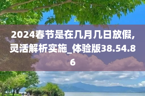 2024春节是在几月几日放假,灵活解析实施_体验版38.54.86