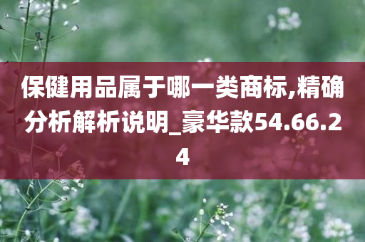 保健用品属于哪一类商标,精确分析解析说明_豪华款54.66.24