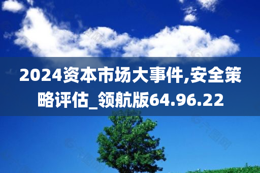 2024资本市场大事件,安全策略评估_领航版64.96.22