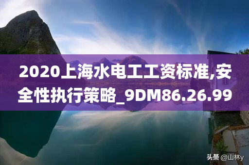 2020上海水电工工资标准,安全性执行策略_9DM86.26.99