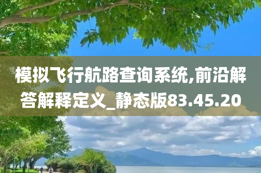 模拟飞行航路查询系统,前沿解答解释定义_静态版83.45.20