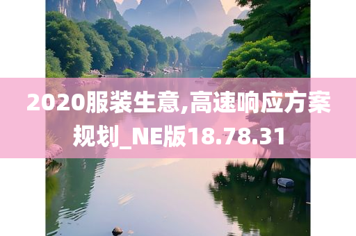 2020服装生意,高速响应方案规划_NE版18.78.31