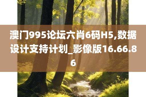 澳门995论坛六肖6码H5,数据设计支持计划_影像版16.66.86