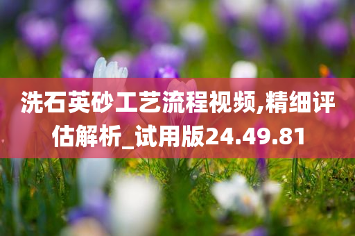 洗石英砂工艺流程视频,精细评估解析_试用版24.49.81