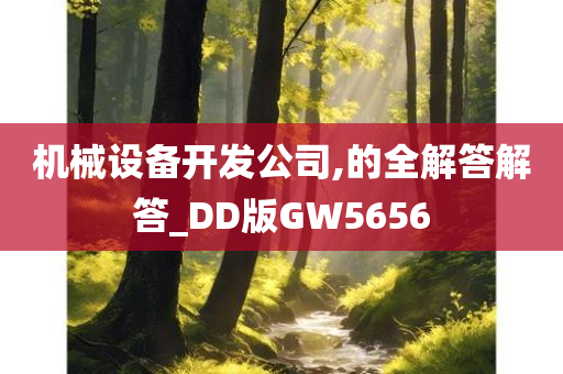 机械设备开发公司,的全解答解答_DD版GW5656