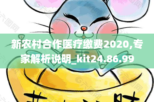 新农村合作医疗缴费2020,专家解析说明_kit24.86.99