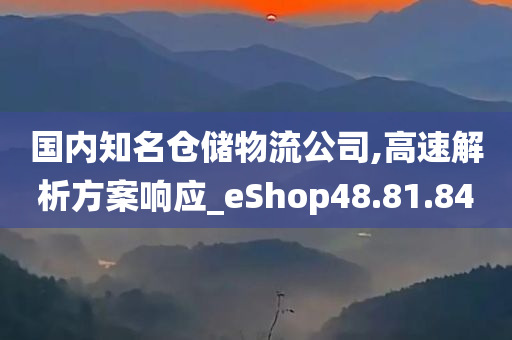 国内知名仓储物流公司,高速解析方案响应_eShop48.81.84