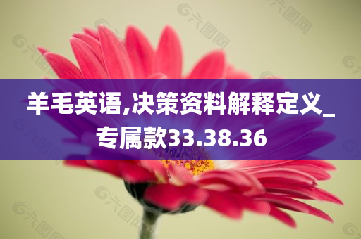 羊毛英语,决策资料解释定义_专属款33.38.36