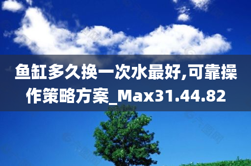 鱼缸多久换一次水最好,可靠操作策略方案_Max31.44.82