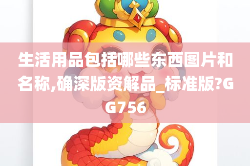 生活用品包括哪些东西图片和名称,确深版资解品_标准版?GG756